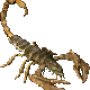 scorpion.png