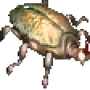 beetle.png
