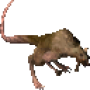 vicious_rat.png