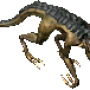 raging_lizard.png