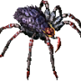 venomous_arachnid.png
