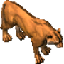 young_tiger.png