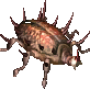 bloody_armed_beetle.png