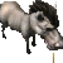 donkey.png
