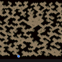 flea_cave_lv_1.png