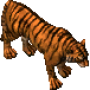 tiger.png