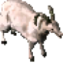 sheep_12.png