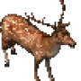 deer.png