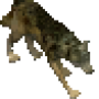 wolf.png