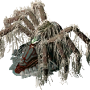 arachnid_gazer.png