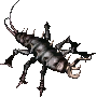 earwig.png